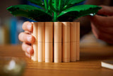LEGO® Botanicals Peace Lily (11504)