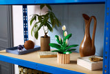 LEGO® Botanicals Peace Lily (11504)
