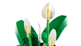 LEGO® Botanicals Peace Lily (11504)