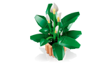 LEGO® Botanicals Peace Lily (11504)