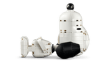 LEGO® Ideas Peanuts: Snoopy’s Doghouse (21368)