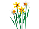 LEGO® Daffodils 40747