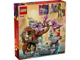 LEGO® 71819 NINJAGO® Dragon Stone Shrine