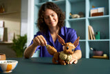 Pre-Order LEGO® 72151 Pokémon™ Eevee