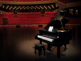 LEGO® Ideas 21323 Grand Piano model kit