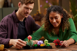 LEGO® 10309 Icons Succulents