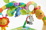 Fisher-Price Rainforest Music &amp; Lights Deluxe Gym