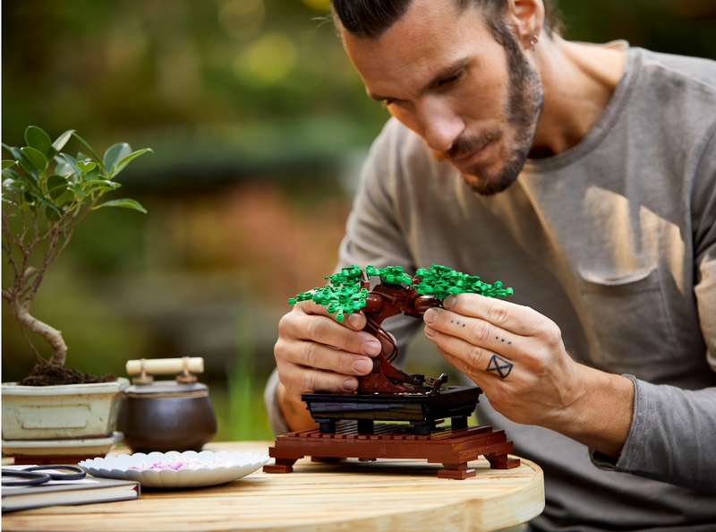 LEGO® Creator Expert 10281 Bonsai Tree