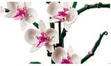 LEGO® 10311 Icons Orchid