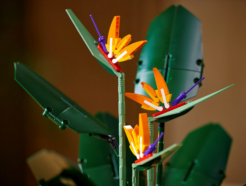 Lego Set of 2: 10281 Bonsai Tree & 10289 Bird of Paradise Flower